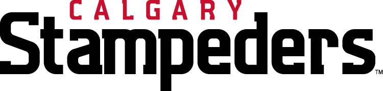 calgary stampeders 2012-pres wordmark logo iron on transfers for clothing